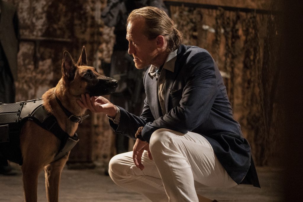 Review John Wick 3 Is A Buffet Of Action That Would Make PETA Proud
