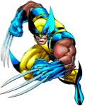 Wolverine14