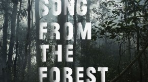 song_from_the_forest