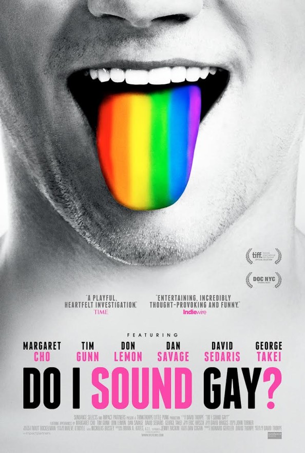do-i-sound-gay-poster