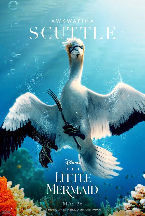 The Little Mermaid_CharacterSeries_Scuttle_v2_Lg_The Movie Blog The