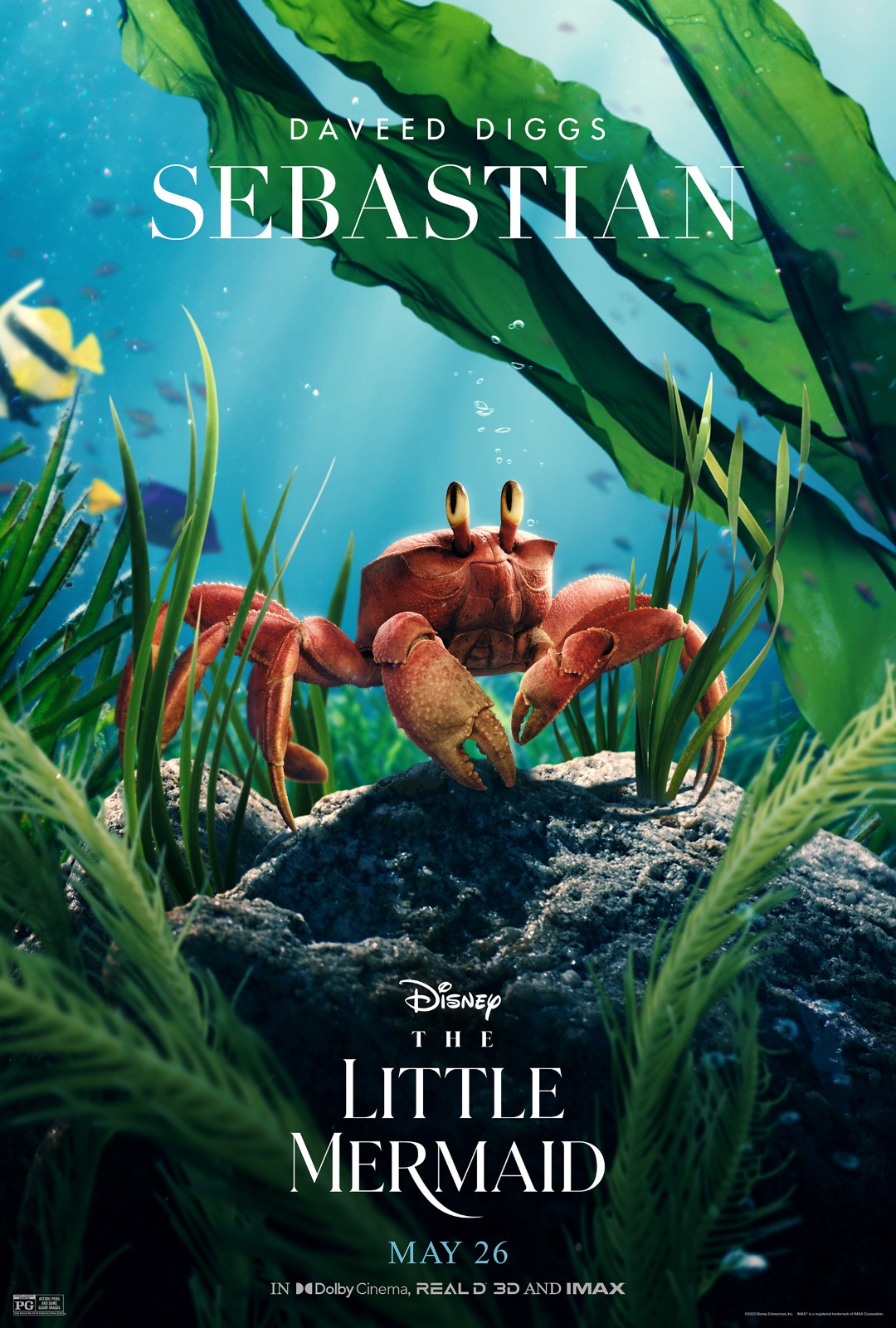 the-little-mermaid-characterseries-sebastian-v2-lg-the-movie-blog-the