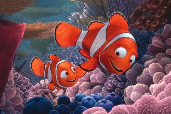 Finding Nemo