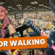 Anime NYC 2024: Floor Walking, Chill Vibes, and Terminator Zero