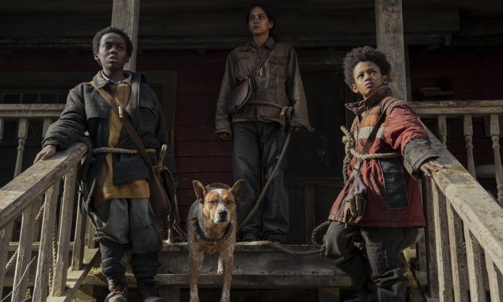 Anthony B. Jenkins as Samuel, Halle Berry as Momma and Percy Daggs IV as Nolan in Never Let Go. Photo Credit: Liane Hentscher