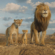 Mufasa: The Lion King Press Conference Highlights Excitement for Fans