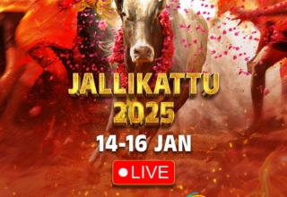 ZEE5 Jallikattu The Movie Blog (Large)